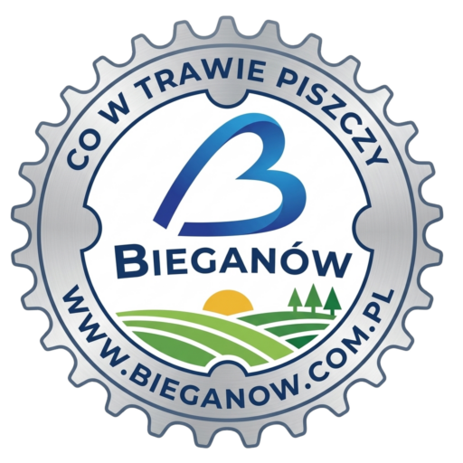 Strona internetowa Bieganowa