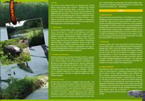 Ścieżka Herpetologiczna Bieganów